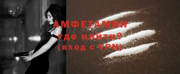 сатива Балахна