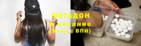 прущие грибы Балабаново