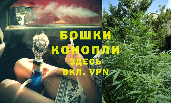 прущие грибы Балабаново