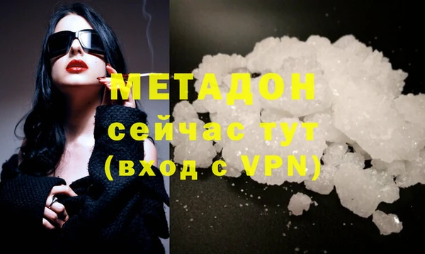 прущие грибы Балабаново