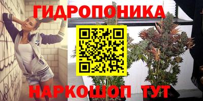 винт Дубна