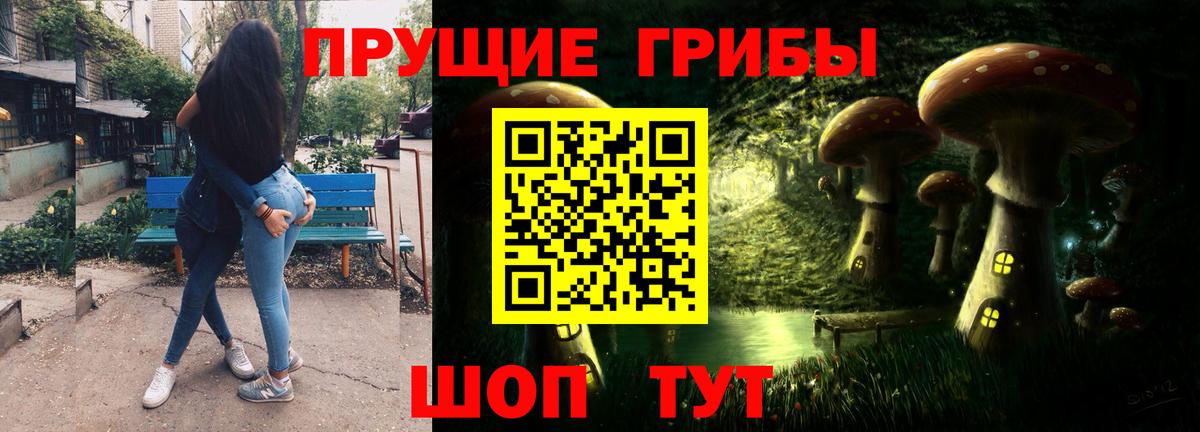 Псилоцибиновые грибы прущие грибы  Вход с VPN  цены   Вольск 